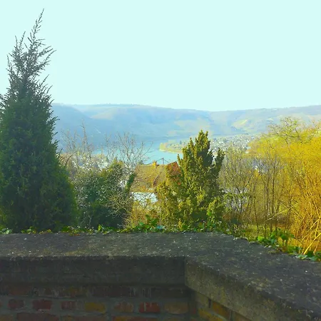 Little Rhineview Chateau Boppard Exterior foto
