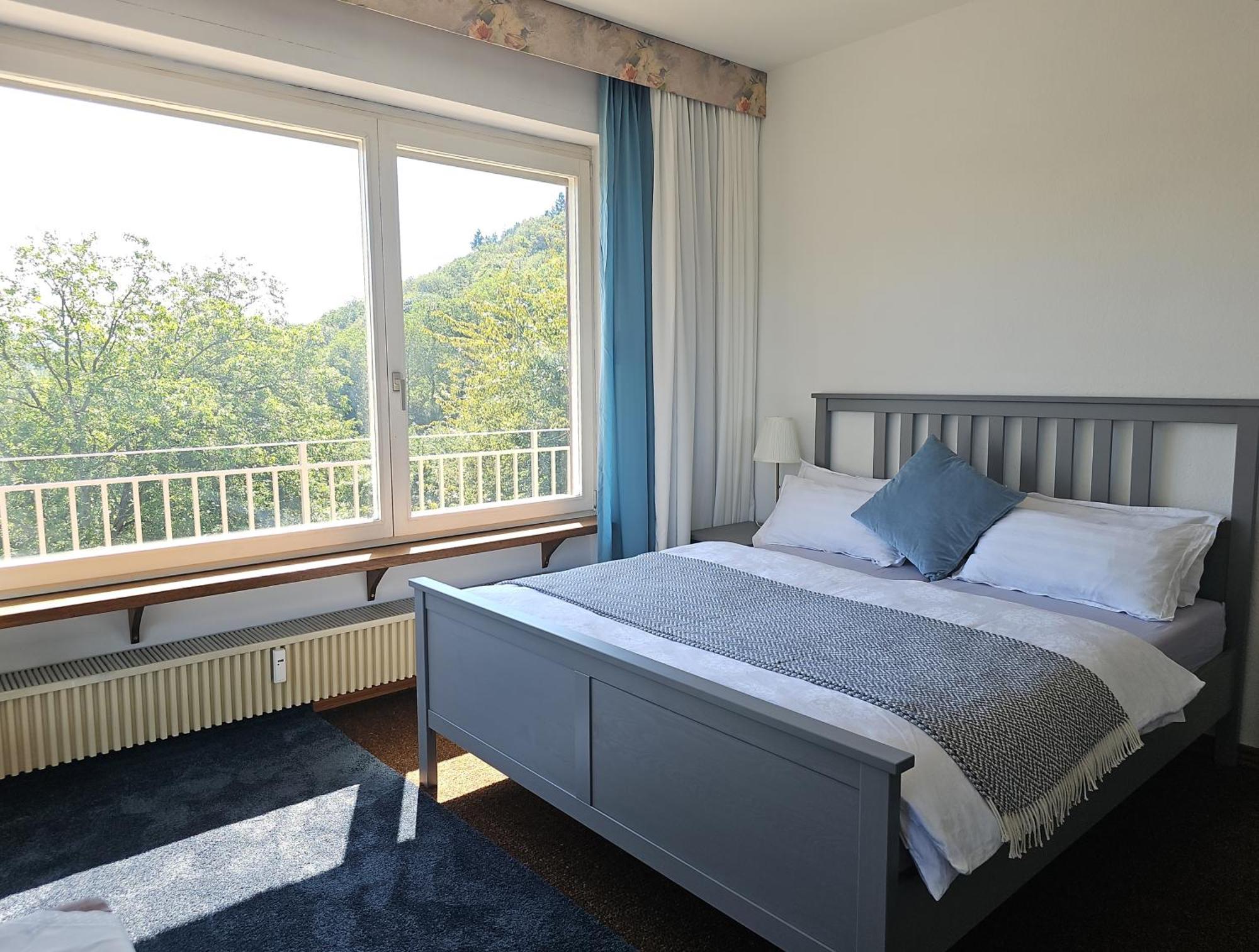 Appartement Little Rhineview Chateau *