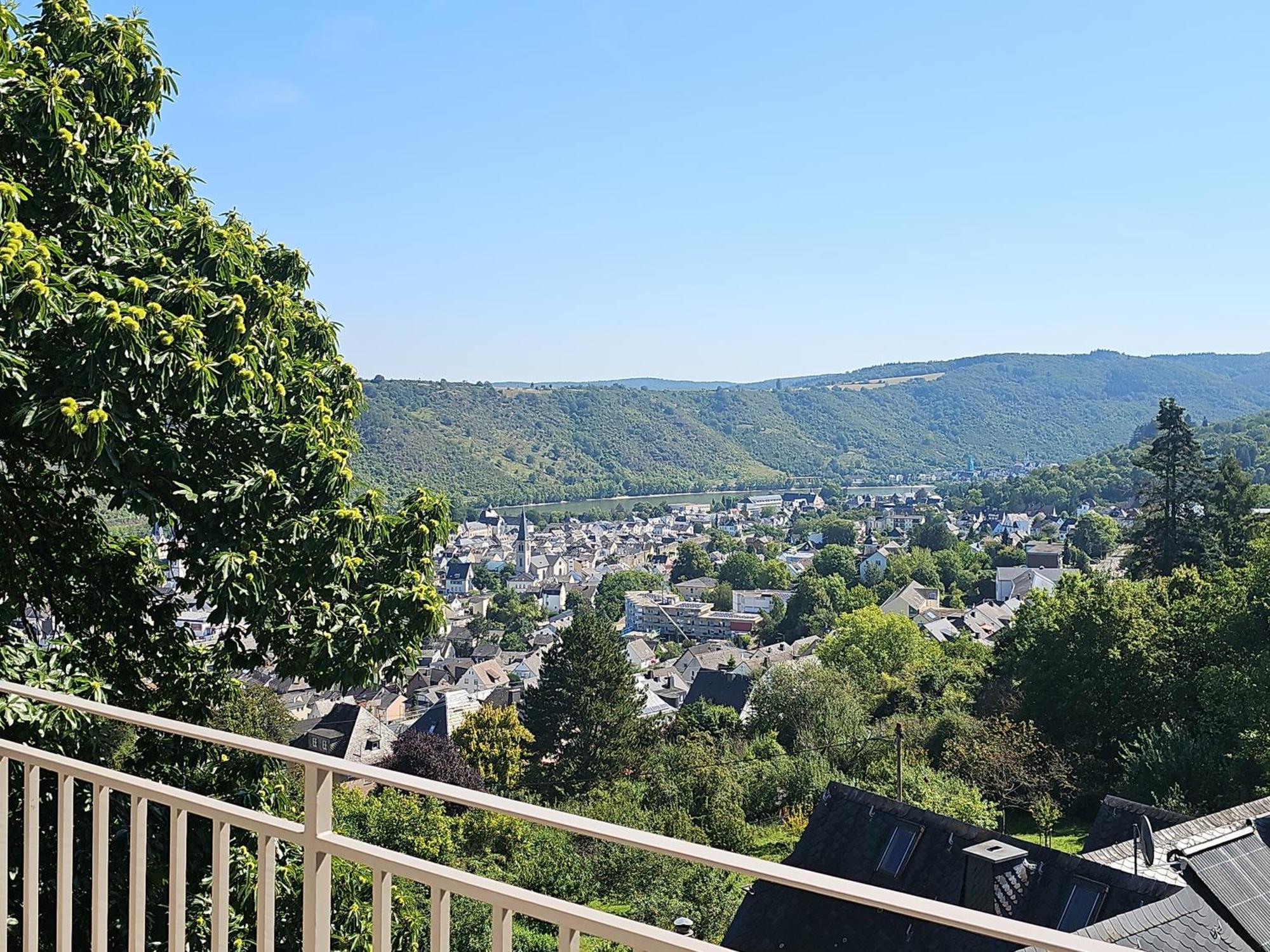 Little Rhineview Chateau *
