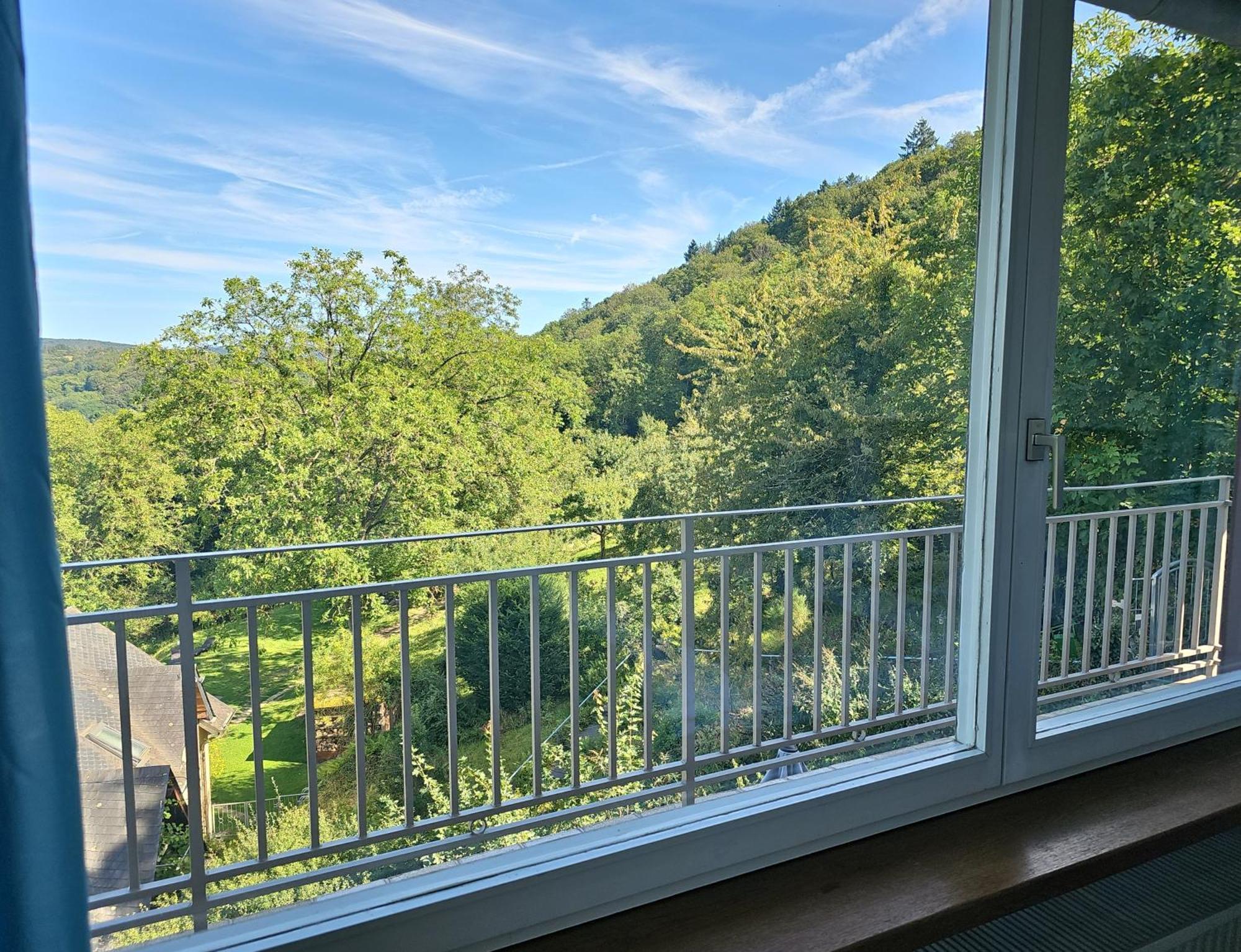 Little Rhineview Chateau Appartement