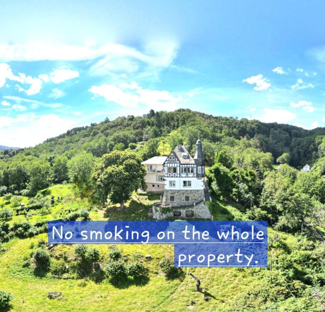 Little Rhineview Chateau